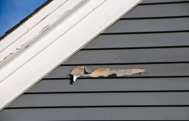Best Residential Vinyl Siding Installation  in Hackensack, NJ