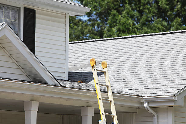 Best Siding Maintenance  in Hackensack, NJ