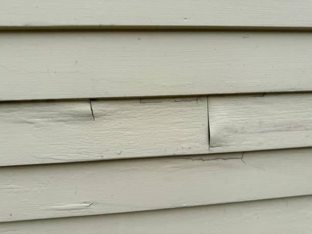 Affordable siding repair and maintenance services in Hackensack, NJ